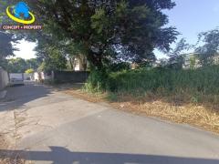 ขายที่ดิน 99 ตารางวา ซอยนาคนิวาส 37 แยก 2 ลาดพร้าว-202511271308261764223706083.jpg