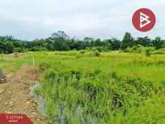 ขายที่ดิน เนื้อที่ 10 ไร่ 3 งาน 96 ตร.วา ท่ากุ่ม ตราด