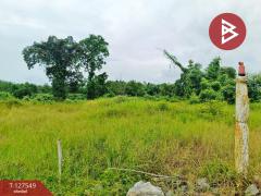 ขายที่ดิน เนื้อที่ 10 ไร่ 3 งาน 96 ตร.วา ท่ากุ่ม ตราด-202511271407261764227246778.jpg