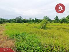 ขายที่ดิน เนื้อที่ 10 ไร่ 3 งาน 96 ตร.วา ท่ากุ่ม ตราด-202511271407281764227248118.jpg