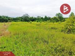 ขายที่ดิน เนื้อที่ 10 ไร่ 3 งาน 96 ตร.วา ท่ากุ่ม ตราด-202511271407291764227249277.jpg