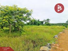 ขายที่ดิน เนื้อที่ 10 ไร่ 3 งาน 96 ตร.วา ท่ากุ่ม ตราด-202511271407291764227249849.jpg