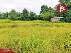 ขายที่ดิน เนื้อที่ 10 ไร่ 3 งาน 96 ตร.วา ท่ากุ่ม ตราด-202511271407301764227250404.jpg