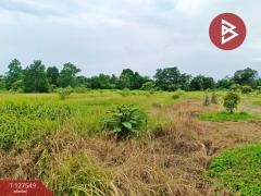 ขายที่ดิน เนื้อที่ 10 ไร่ 3 งาน 96 ตร.วา ท่ากุ่ม ตราด-202511271407301764227250958.jpg