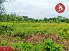 ขายที่ดิน เนื้อที่ 10 ไร่ 3 งาน 96 ตร.วา ท่ากุ่ม ตราด-202511271407311764227251700.jpg