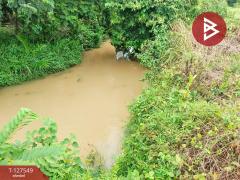 ขายที่ดิน เนื้อที่ 10 ไร่ 3 งาน 96 ตร.วา ท่ากุ่ม ตราด-202511271407321764227252267.jpg