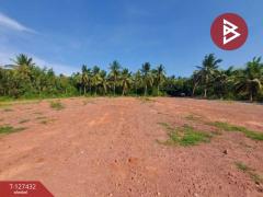 ขายที่ดิน เนื้อที่ 1 งาน 25.6 ตร.วา ลาดใหญ่ สมุทรสงคราม-202511271423581764228238600.jpg