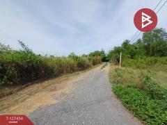 ขายที่ดิน เนื้อที่ 2 ไร่ ลาดใหญ่ สมุทรสงคราม-202511271451171764229877016.jpg