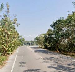 ที่ดินพร้อมต้นสักแปลงมุม ติดถนนลำปางหลวง ใกล้เทศบาลตำบลลำปางหลวง เกาะคา ลำปาง-202511271522241764231744362.jpg