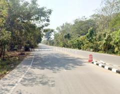 ที่ดินพร้อมต้นสักแปลงมุม ติดถนนลำปางหลวง ใกล้เทศบาลตำบลลำปางหลวง เกาะคา ลำปาง-202511271522261764231746414.jpg