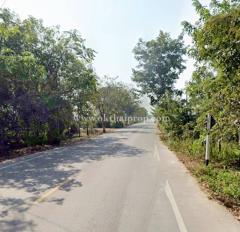 ที่ดินพร้อมต้นสักแปลงมุม ติดถนนลำปางหลวง ใกล้เทศบาลตำบลลำปางหลวง เกาะคา ลำปาง-202511271522281764231748571.jpg