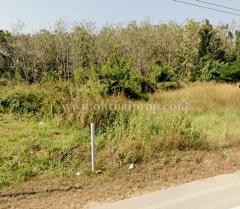 ที่ดินพร้อมต้นสักแปลงมุม ติดถนนลำปางหลวง ใกล้เทศบาลตำบลลำปางหลวง เกาะคา ลำปาง-202511271522381764231758523.jpg