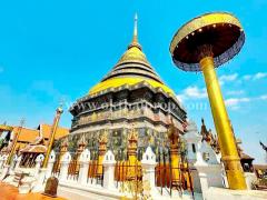 ที่ดินพร้อมต้นสักแปลงมุม ติดถนนลำปางหลวง ใกล้เทศบาลตำบลลำปางหลวง เกาะคา ลำปาง-202511271523351764231815141.jpg