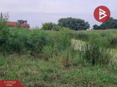 ขายที่ดิน เนื้อที่ 1 ไร่ ถ.ประชาอุทิศ ทุ่งครุ กรุงเทพมหานคร ทำเลดี-202511271600431764234043712.jpg