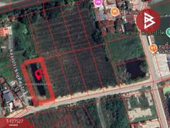 ขายที่ดิน เนื้อที่ 1 ไร่ ถ.ประชาอุทิศ ทุ่งครุ กรุงเทพมหานคร ทำเลดี-202511271600461764234046469.jpg