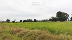 ขายที่ดิน 29ไร่กว่า ชัยนาท ติดคลองน้ำ เห็นวิวเขาสวย ขายถูกราคาถูก-202511272047021764251222335.jpg