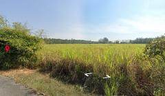ขายที่ดินชลบุรี เกาะจันทร์  30ไร่ 84ตรว. ผังสีม่วงลาย ใกล้อ่างเก็บน้ำคลองหลวง รัชชโลทร