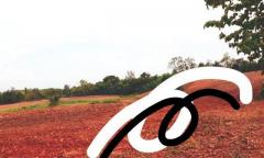 โปรปลายปีรับลมหนาวมาแล้ว ธรรมชาติเนินเขา ที่ดินโฉนดแบ่งขาย หล่มเก่า เพชรบูรณ์ ใกล้ภูทับเบิก โทร 0968821857