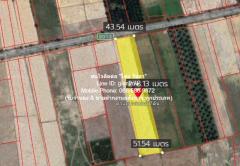 ที่ดิน ที่ดินทุ่งนา (วิวเขา) ต.ชัยบุรี อ.เมืองพัทลุง จ.พัทลุง 7-2-10 ไร่ 7 Rai 2 งาน 10 ตร.ว. 4000000 BAHT. ใกล้ องค์การบริหารส่วนตำบลชัยบุรี ดีเวอร์ พัทลุง   