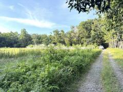 ขาย ที่ดินเปล่า โฉนดครุฑแดง ต.บางบุตร อ.บ้านค่าย วิวสวย บรรยากาศดี เหมาะทำบ้านสวน