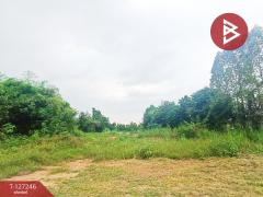 ขายด่วนที่ดินพร้อมสิ่งปลูกสร้าง เนื้อที่ 4 ไร่ 1 งาน 58 ตารางวา ต.ห้วยไผ่ ราชบุรี ทำเลดีติดถนนใหญ่-202511280957001764298620542.jpg