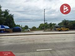 ขายที่ดินเปล่า เนื้อที่ 57 ไร่ 1 งาน 61 ตารางวา ซอยเลียบวารี 59 หนองจอก กรุงเทพฯ ติดถนน-202511281004511764299091621.jpg