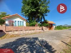 ขายบ้านเดี่ยว เนื้อที่ 1 งาน 40 ตร.วา หมากแข้ง อุดรธานี-202511281231001764307860516.jpg