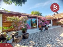 ขายบ้านเดี่ยว เนื้อที่ 1 งาน 40 ตร.วา หมากแข้ง อุดรธานี-202511281231011764307861109.jpg