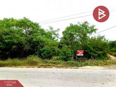 ขายที่ดินแปลงสวย-เนื้อที่-1-ไร่-2-งาน-90