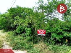 ขายที่ดินแปลงสวย เนื้อที่ 1 ไร่ 2 งาน 90 ตารางวา ต.โคกกรวด จ.นครราชสีมา-202511281237461764308266083.jpg