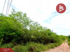 ขายที่ดินแปลงสวย เนื้อที่ 1 ไร่ 2 งาน 90 ตารางวา ต.โคกกรวด จ.นครราชสีมา-202511281237471764308267793.jpg