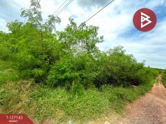 ขายที่ดินแปลงสวย เนื้อที่ 1 ไร่ 2 งาน 90 ตารางวา ต.โคกกรวด จ.นครราชสีมา-202511281237481764308268358.jpg