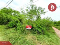 ขายที่ดินแปลงสวย เนื้อที่ 1 ไร่ 2 งาน 90 ตารางวา ต.โคกกรวด จ.นครราชสีมา-202511281237481764308268932.jpg