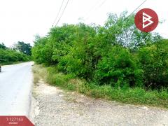 ขายที่ดินแปลงสวย เนื้อที่ 1 ไร่ 2 งาน 90 ตารางวา ต.โคกกรวด จ.นครราชสีมา-202511281237501764308270078.jpg