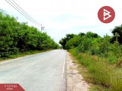 ขายที่ดินแปลงสวย เนื้อที่ 1 ไร่ 2 งาน 90 ตารางวา ต.โคกกรวด จ.นครราชสีมา-202511281237501764308270648.jpg