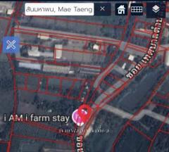 ที่ดิน 2 แปลงทำเลดี ต.สันมหาพน อ.แม่แตง จ.เชียงใหม่