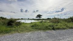 ขายที่ดินเปล่า เนื้อที่ 23-1-96 ไร่ ถนนสารีบุตร ,ลาดกระบัง ใกล้ถนนมอเตอร์เวย์ กรุงเทพ-ชลบุรี-202511281258481764309528919.jpeg