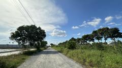 ขายที่ดินเปล่า เนื้อที่ 23-1-96 ไร่ ถนนสารีบุตร ,ลาดกระบัง ใกล้ถนนมอเตอร์เวย์ กรุงเทพ-ชลบุรี-202511281258551764309535165.jpeg