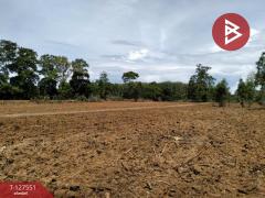 ขายที่ดิน เนื้อที่ 10 ไร่ 96 ตร.วา เขาสมิง ตราด