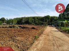 ขายที่ดิน เนื้อที่ 10 ไร่ 96 ตร.วา เขาสมิง ตราด-202511281332181764311538527.jpg