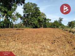 ขายที่ดิน เนื้อที่ 10 ไร่ 96 ตร.วา เขาสมิง ตราด-202511281332191764311539091.jpg