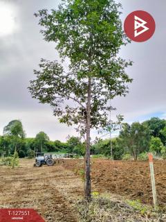 ขายที่ดิน เนื้อที่ 10 ไร่ 96 ตร.วา เขาสมิง ตราด-202511281332191764311539657.jpg