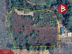 ขายที่ดิน เนื้อที่ 10 ไร่ 96 ตร.วา เขาสมิง ตราด-202511281332201764311540199.jpg