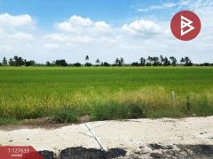 ขายที่ดิน-เนื้อที่-2-ไร่-เลียบคลอง-10-ล