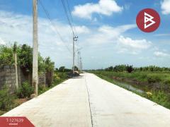 ขายที่ดิน เนื้อที่ 2 ไร่ เลียบคลอง 10 ลำลูกกา ปทุมธานี-202511281348501764312530135.jpg
