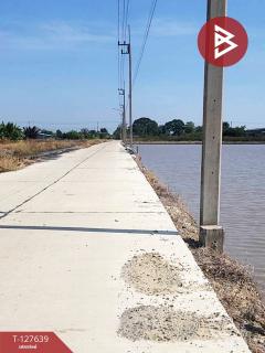 ขายที่ดิน เนื้อที่ 2 ไร่ เลียบคลอง 10 ลำลูกกา ปทุมธานี-202511281348501764312530702.jpg