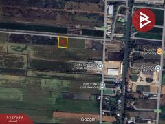 ขายที่ดิน เนื้อที่ 2 ไร่ เลียบคลอง 10 ลำลูกกา ปทุมธานี-202511281348511764312531799.jpg