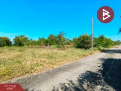 ขายที่ดินถมแล้ว เนื้อที่ 1 ไร่ 1 งาน 43.1 ตารางวา คลอง 12 เขตหนองจอก กรุงเทพฯ-202511281355011764312901974.jpg