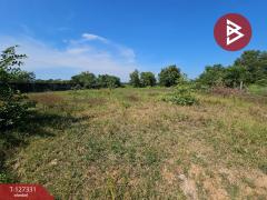 ขายที่ดินถมแล้ว เนื้อที่ 1 ไร่ 1 งาน 43.1 ตารางวา คลอง 12 เขตหนองจอก กรุงเทพฯ-202511281355021764312902770.jpg