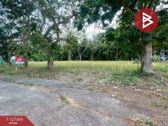 ขายที่ดิน เนื้อที่ 100 ตารางวา บางคนที สมุทรสงคราม ทำเลดี